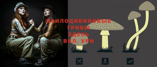 спиды Абинск