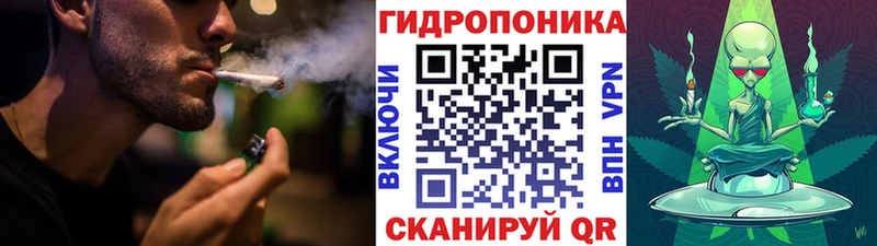 Шишки марихуана OG Kush  Шлиссельбург 